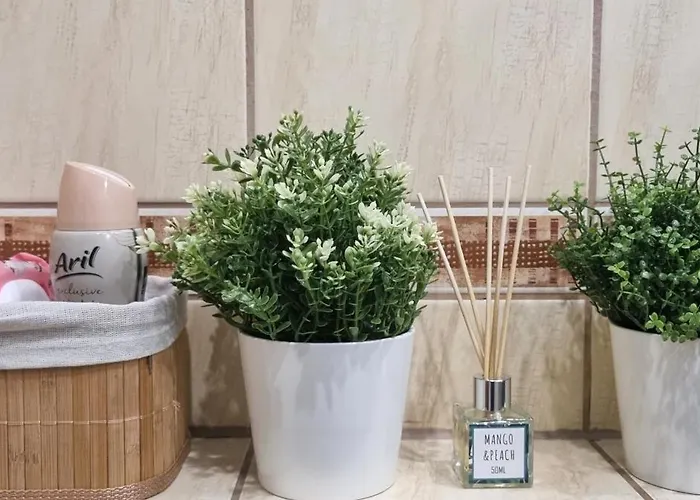 Cumulus Apartment Chojna